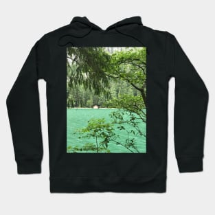 Cabin on the Lake and in the Forest Hoodie